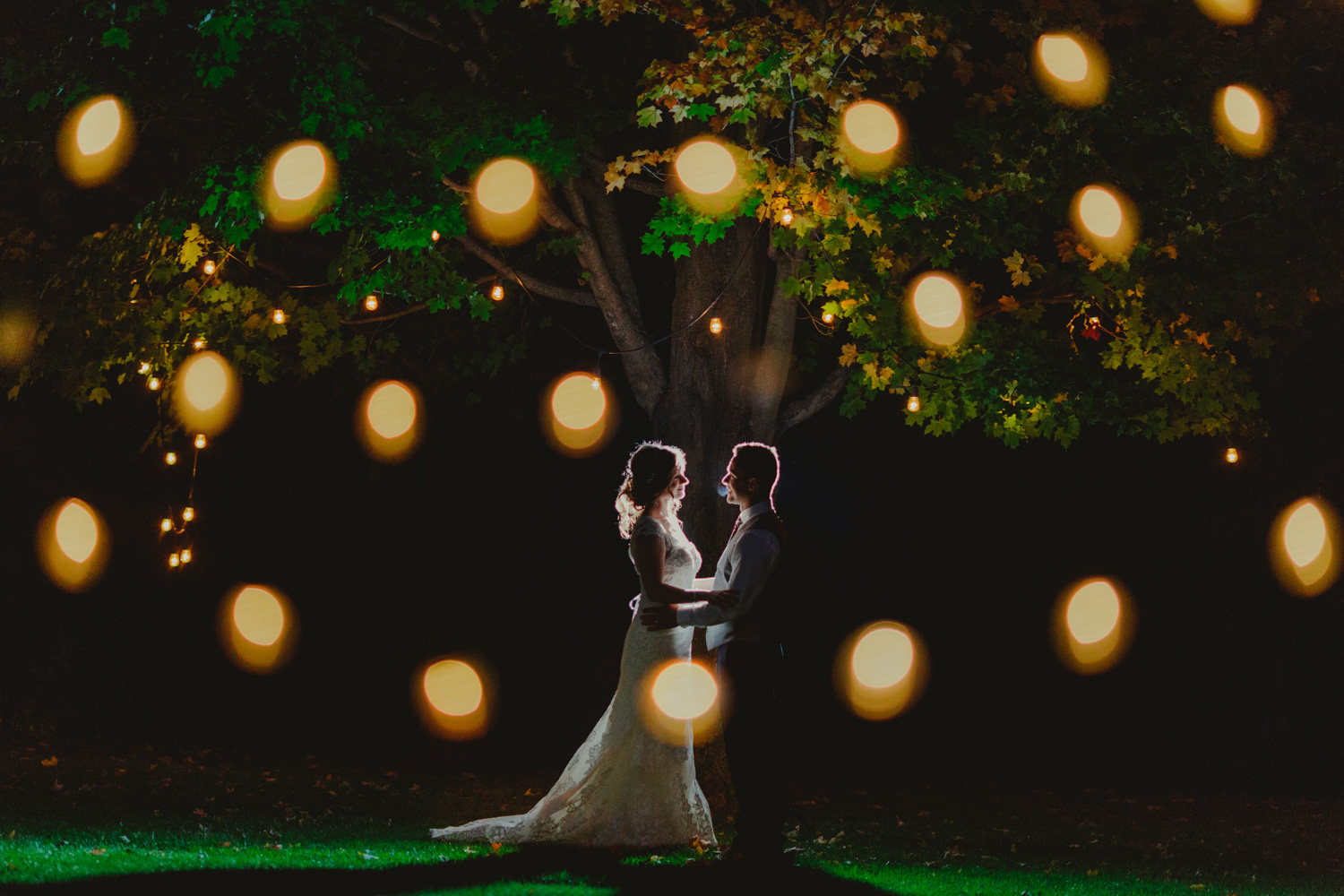 wedding night tree lights